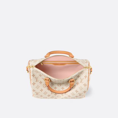 LOUIS VUITTON MITTELGROSSE HANDTASCHE